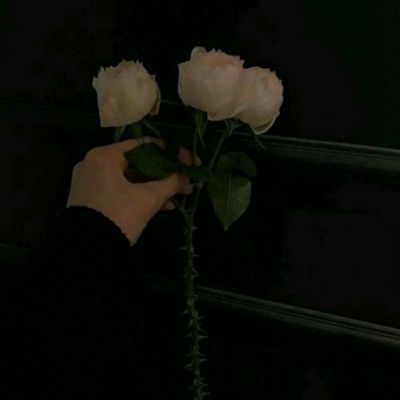 菲律宾强震楼顶池水翻涌